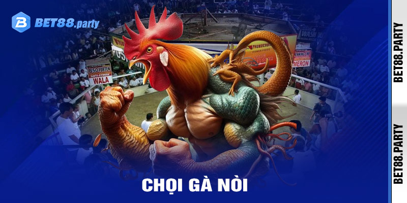 Chọi gà nòi - Chiến thuật và kinh nghiệm