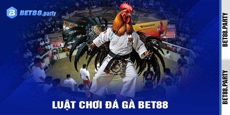 Hiểu luật chơi cơ bản của đá gà bet88